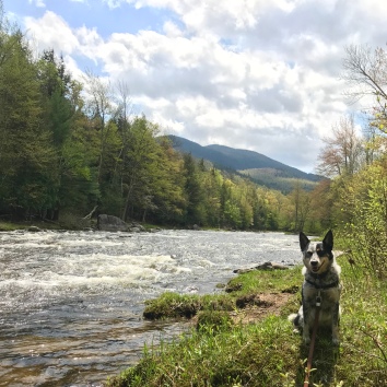 Hiking along the Ausable River